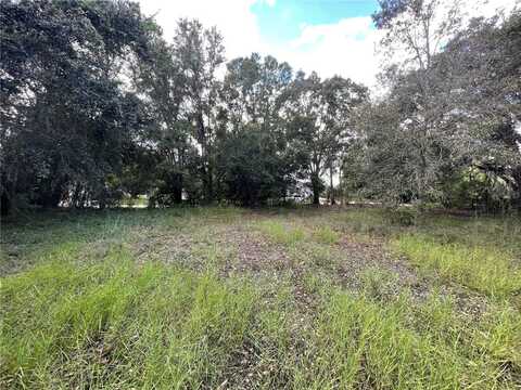 17380 RIVERSTONE DRIVE, LUTZ, FL 33558