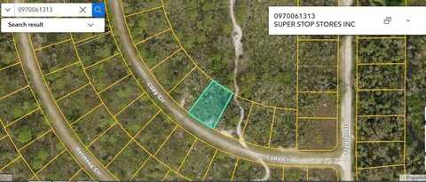 CODY CIRCLE, NORTH PORT, FL 34291