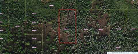 HOLOPAW GROVES ROAD, Saint Cloud, FL 34773