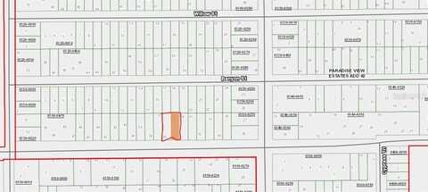 00 MAIN STREET, INTERLACHEN, FL 32148