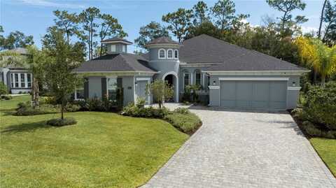 2423 WILD TURKEY CREEK LANE, PORT ORANGE, FL 32128