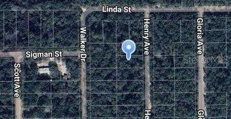 HENRY AVENUE, INTERLACHEN, FL 32148