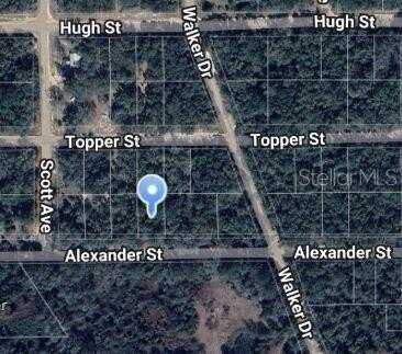 00 ALEXANDER STREET, INTERLACHEN, FL 32148