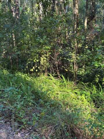 Tbd SW 18TH PLACE, OCALA, FL 34481