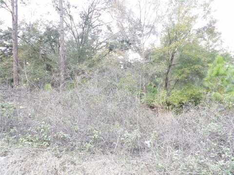 PROPERTY LOCATION IS NOT AVAIL, DELAND, FL 32724