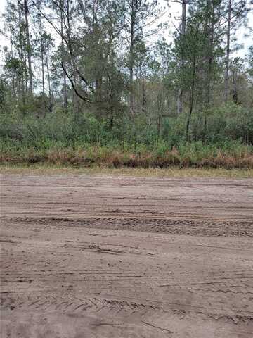 5105 JONATHAN STREET, HASTINGS, FL 32145