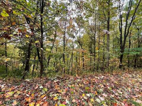 Lot 57C Indian Trail, HAYESVILLE, NC 28904