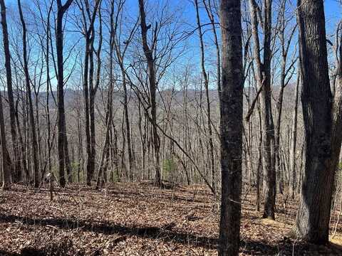Lots 7&8 Wikle Road, HAYESVILLE, NC 28904
