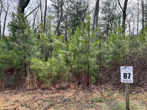 Lot 87 High Point Trail, BLAIRSVILLE, GA 30512