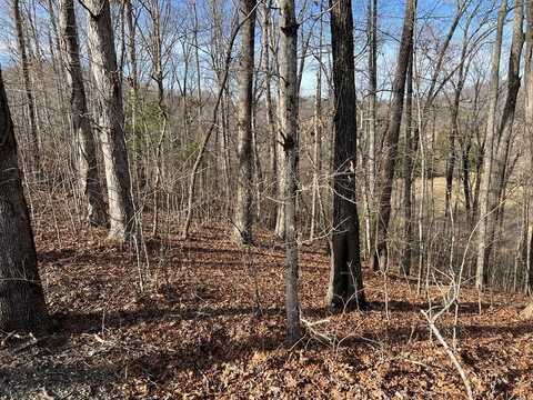 Lot 77A Licklog Ridge, HAYESVILLE, NC 28904