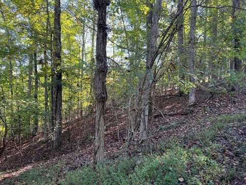 Lot 23 Tahlequah Ridge, HAYESVILLE, NC 28904