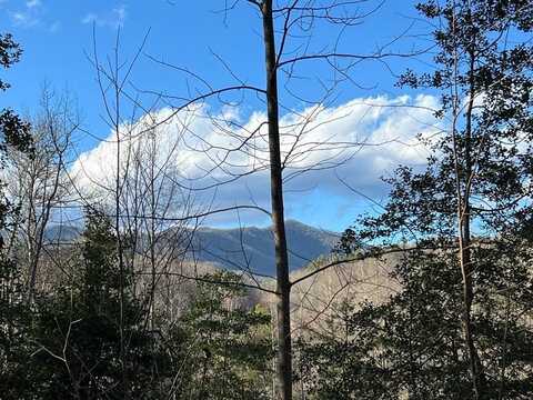 Lot 45 Tusquittee Crossing, HAYESVILLE, NC 28904