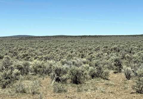 Browns Valley Road, Christmas Valley, OR 97641
