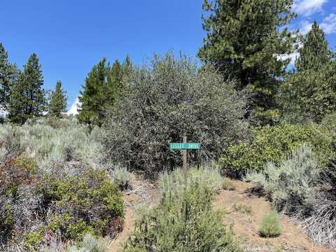 Legget Drive, Chiloquin, OR 97624