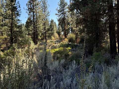 Legget Drive, Chiloquin, OR 97624