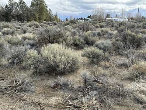 Elm Lane, Christmas Valley, OR 97641