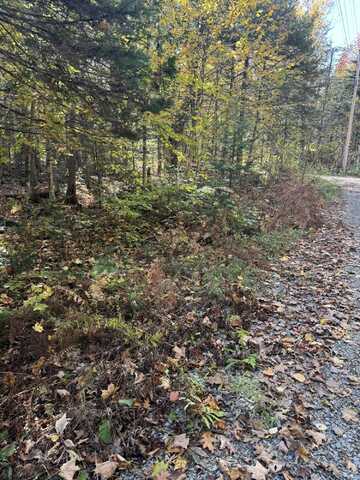 Lot 9-1 Lilly Drive, Newport, ME 04953