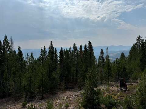 Nhn Rosa Trail, Anaconda, MT 59711