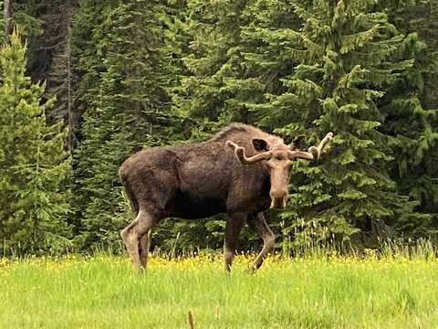 1876 Timber Creek Road, Haugan, MT 59866