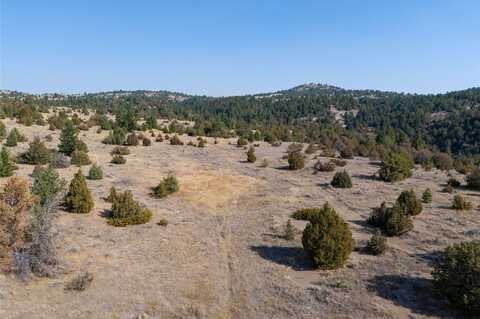 Nhn Trails End Drive, Anaconda, MT 59711