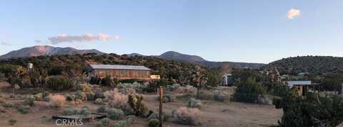 30543 Largo Vista Road, Llano, CA 93544