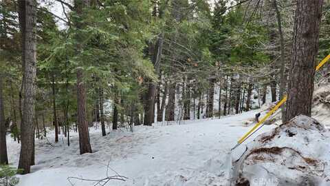 0 Brentwood Drive, Lake Arrowhead, CA 92352