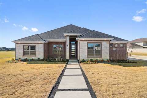 1607 Pebble Beach Lane, Outside Area (Outside Ca), TX 75104