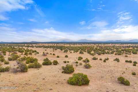 3097 N Peakview Road, Williams, AZ 86046