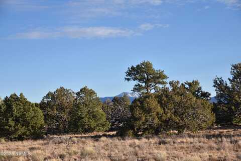 9075 Bird Dog Circle, Williams, AZ 86046