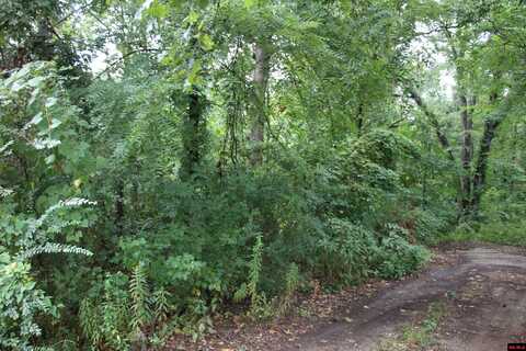 790-00540-008 S MAPLEWOOD LANE, Summit, AR 72677