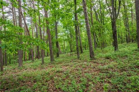 206r Mystic Trail Lane, Jasper, GA 30143