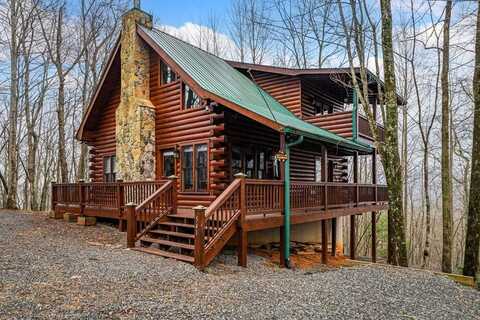 541 Little Bushy Head Road, Cherry Log, GA 30522