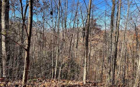 44j Ash Branch Drive, Hayesville, NC 28904