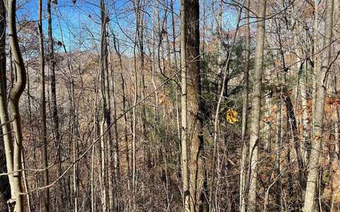43j Ash Branch Drive, Hayesville, NC 28904