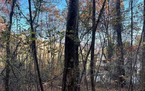 51j Indian Trail, Hayesville, NC 28904