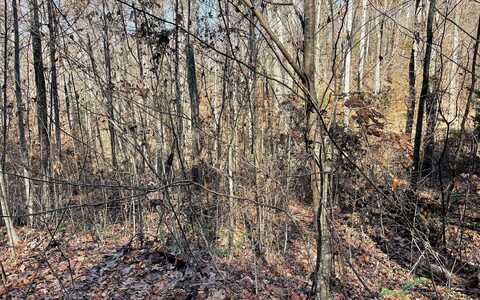 71j Ash Branch Drive, Hayesville, NC 28904