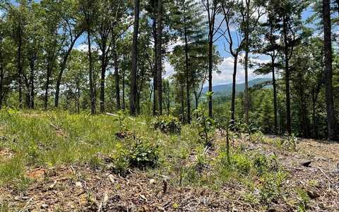 Lot 95 The Ridges, Morganton, GA 30560