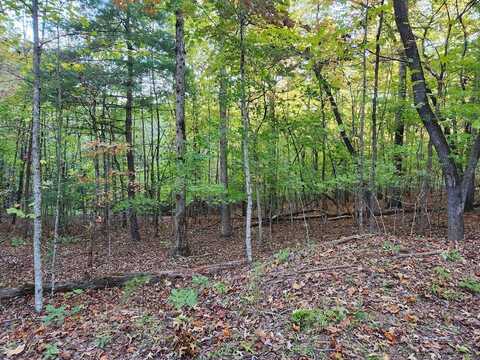 North View Trail, Mineral Bluff, GA 30559