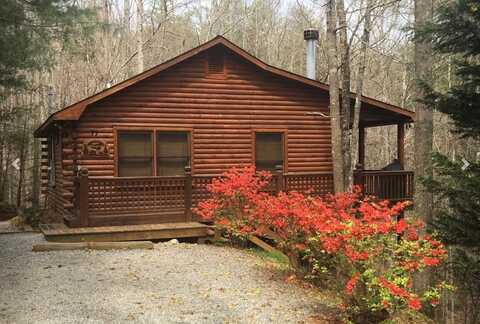 77 Brittany Lane, Cherry Log, GA 30522
