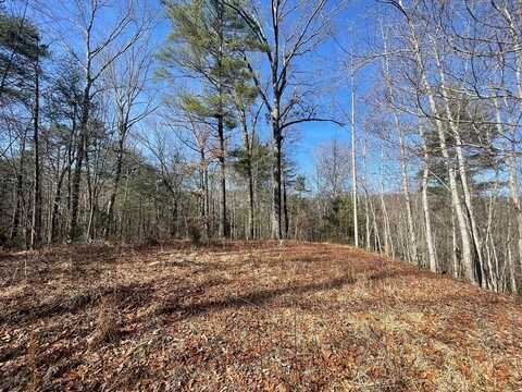 197 Terrapin Drive, Turtletown, TN 37391