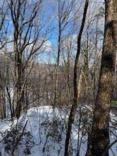 19n Fox Run Lane, Jasper, GA 30143