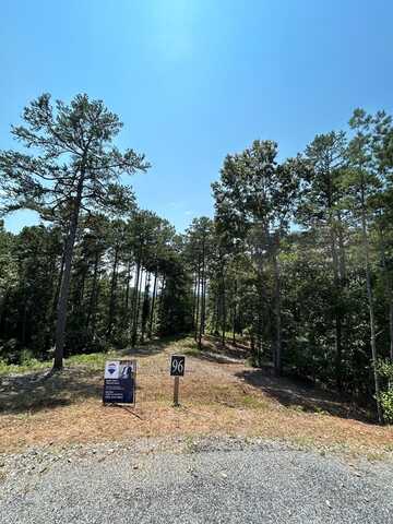 Lt 96 Deep Springs Trail, Talking Rock, GA 30175