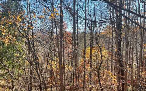 41c Ash Branch Circle, Hayesville, NC 28904