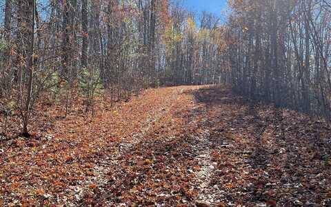 26j Ash Branch, Hayesville, NC 28904