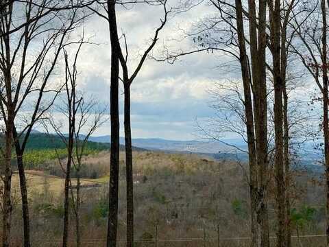 Winding Ridge, Blairsville, NC 30512
