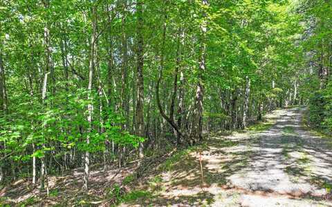 North View Trail, Mineral Bluff, GA 30559