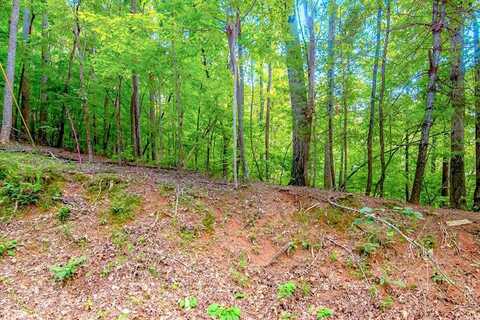 Lt J350 Walnut Mountain, Ellijay, GA 30540