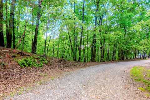 Lt J349 Walnut Mountain, Ellijay, GA 30540
