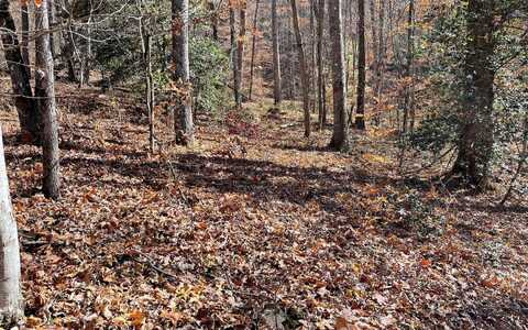70j Ash Branch Drive, Hayesville, NC 28904