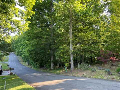81a-82a Licklog Ridge, Hayesville, NC 28904
